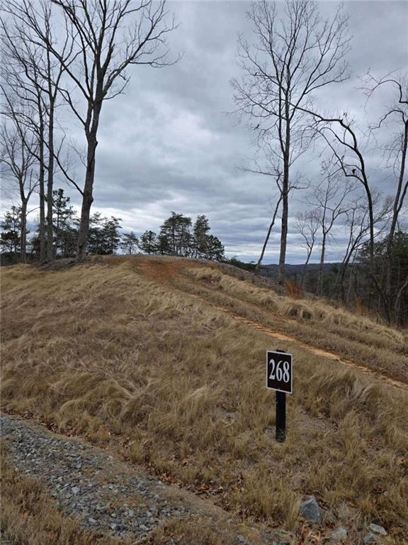 a view of a brick wall with a bench in front of house