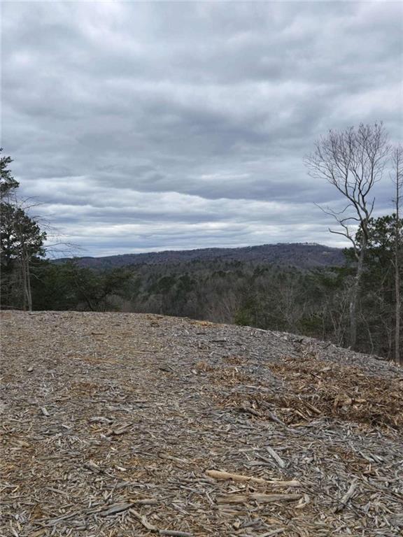 0 Canoe Way Talking Rock, GA 30175 - Photo 16 of 18 a view of lake