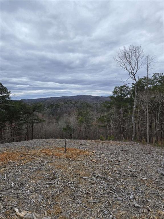 0 Canoe Way Talking Rock, GA 30175 - Photo 17 of 18 a backyard of a house