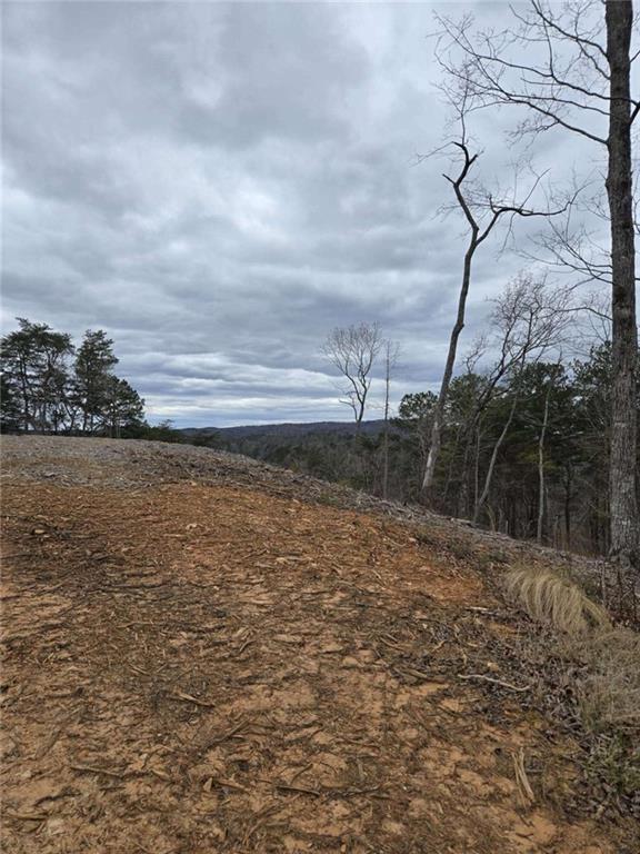 0 Canoe Way Talking Rock, GA 30175 - Photo 2 of 18 a backyard of a house with lots of green space and lake view