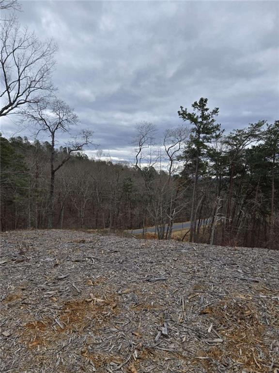 0 Canoe Way Talking Rock, GA 30175 - Photo 3 of 18 a view of a dry yard with trees