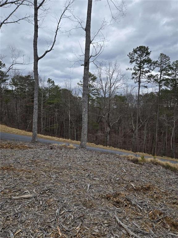 0 Canoe Way Talking Rock, GA 30175 - Photo 4 of 18 a backyard of a house with lots of green space