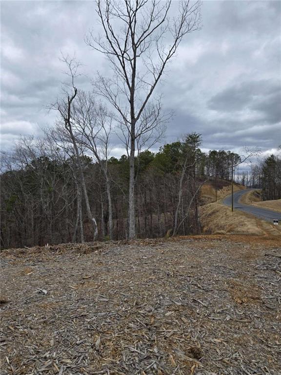 0 Canoe Way Talking Rock, GA 30175 - Photo 5 of 18 a backyard of a house with large trees
