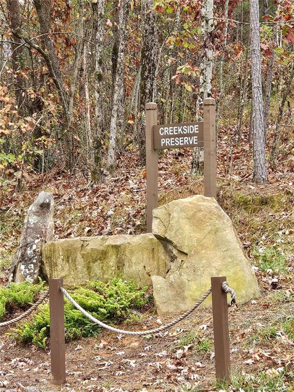 0 Canoe Way Talking Rock, GA 30175 - Photo 8 of 18