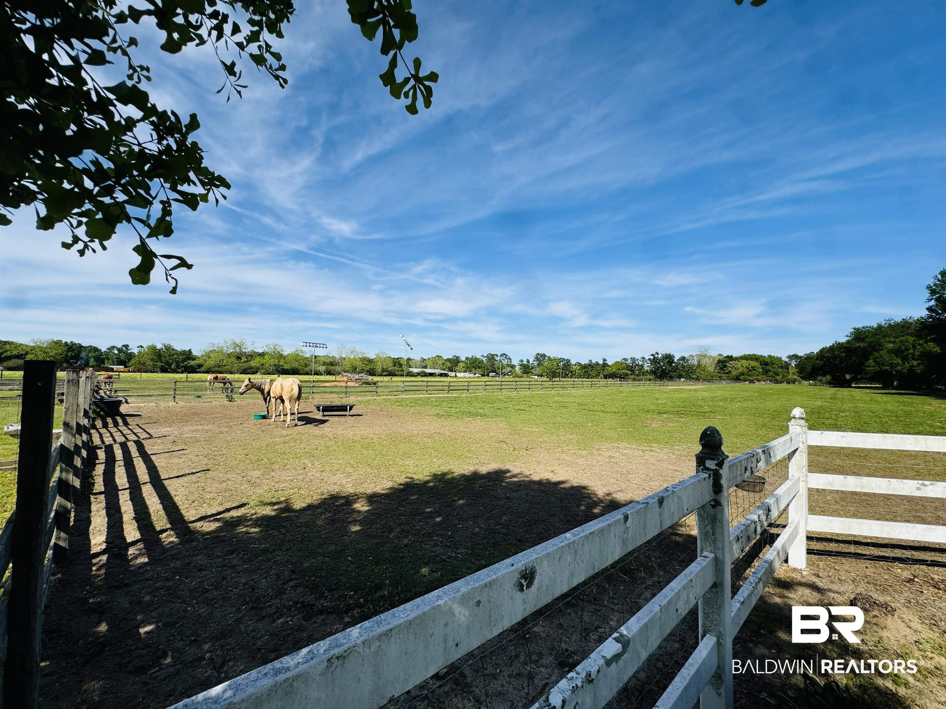 13795 White Road Silverhill, AL 36576 - Photo 15 of 99 View of yard with a rural view