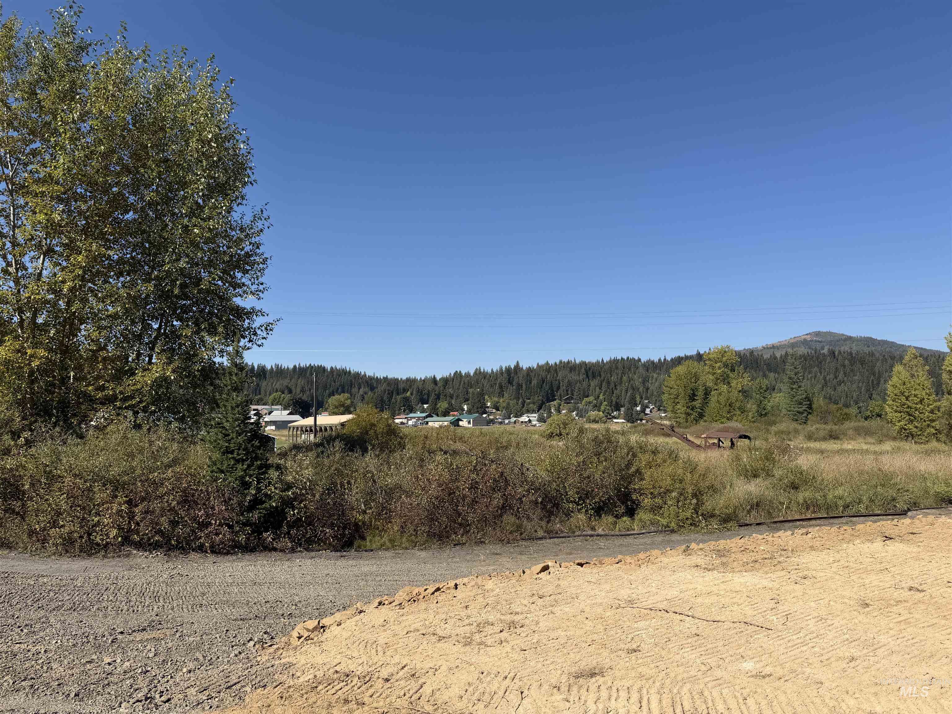 Tbd Dent Bridge Road Elk River, ID 83827 - Photo 19 of 23 View of wooded area