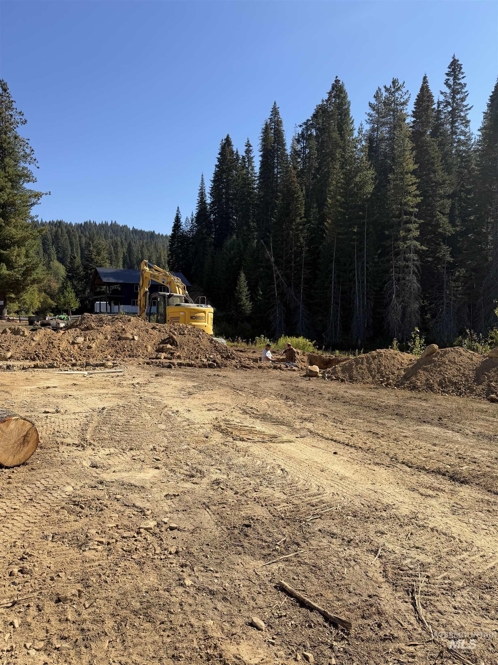 Tbd Dent Bridge Road Elk River, ID 83827 - Photo 22 of 23 View of yard with a wooded view