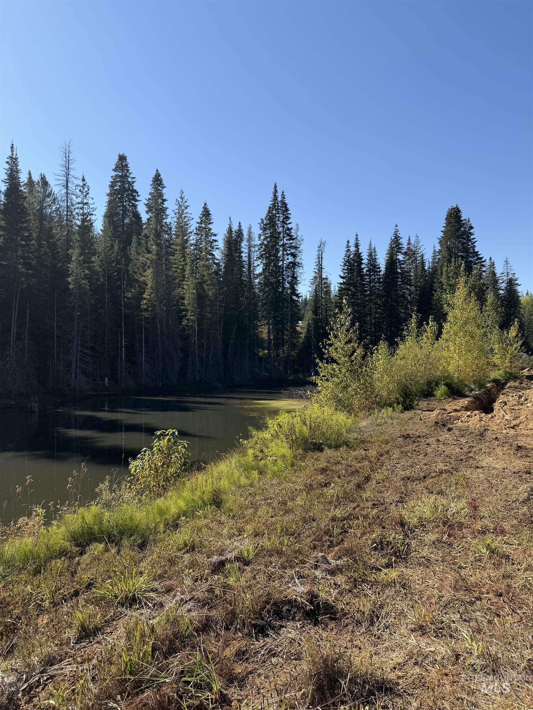 Tbd Dent Bridge Road Elk River, ID 83827 - Photo 6 of 23 View of yard with a water view