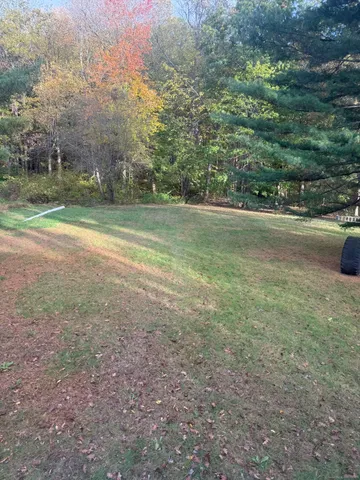 a view of a field with trees