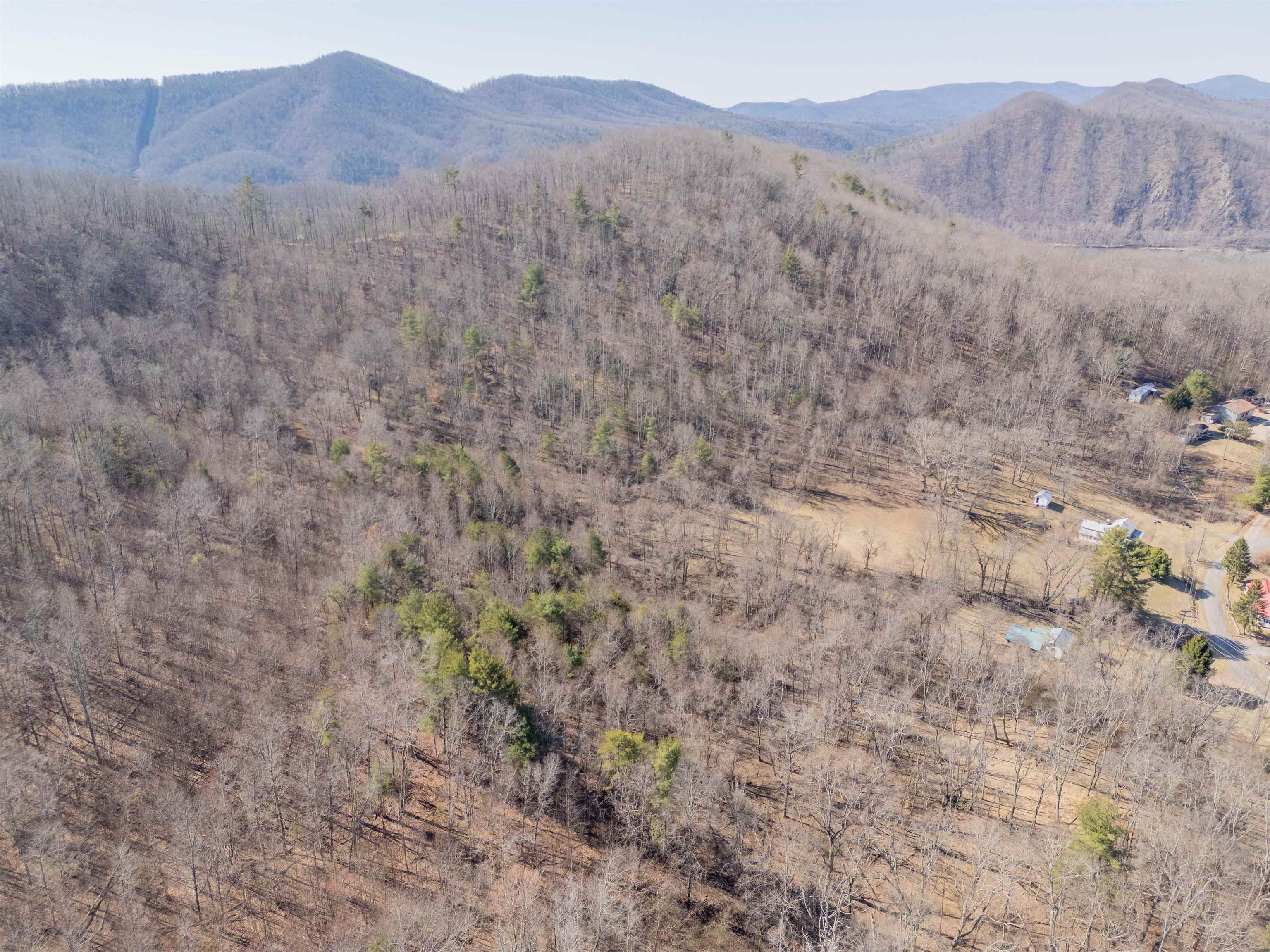 2161 Loafers Rest Road Austinville, VA 24312 - Photo 92 of 94 Gallery Image 92
