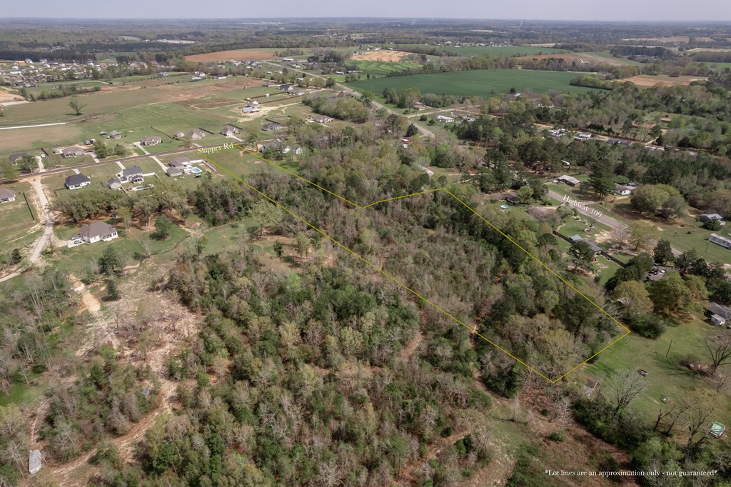 0 Skipper Road Dothan, AL 36301 - Photo 3 of 19