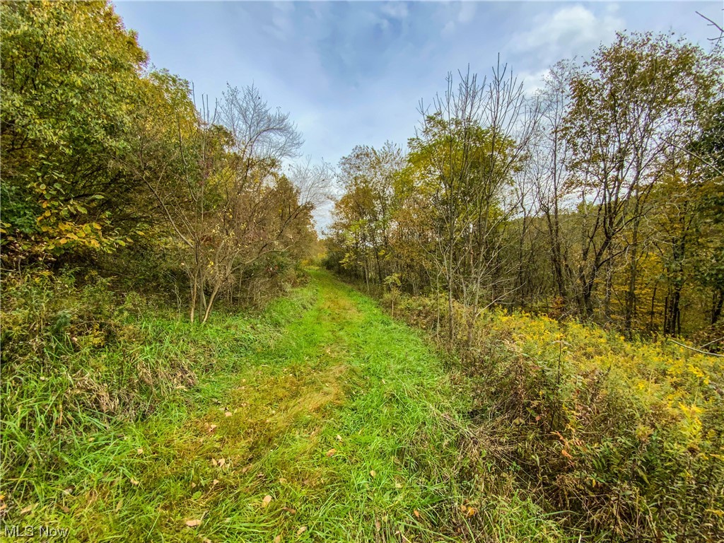 2929 Robinhood Road Southeast Dennison, OH 44621 - Photo 9 of 33