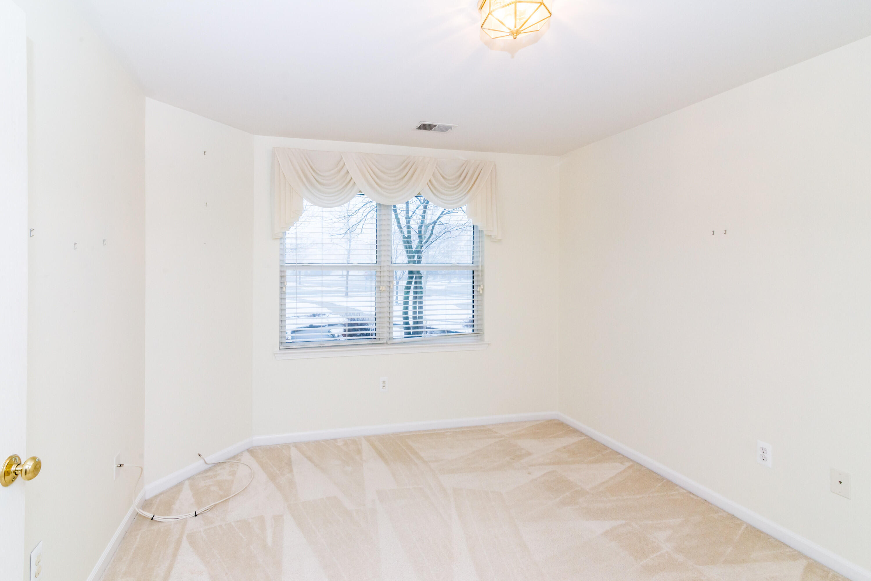 728 Cobblestone Way Chelsea, MI 48118 - Photo 18 of 37 010_24