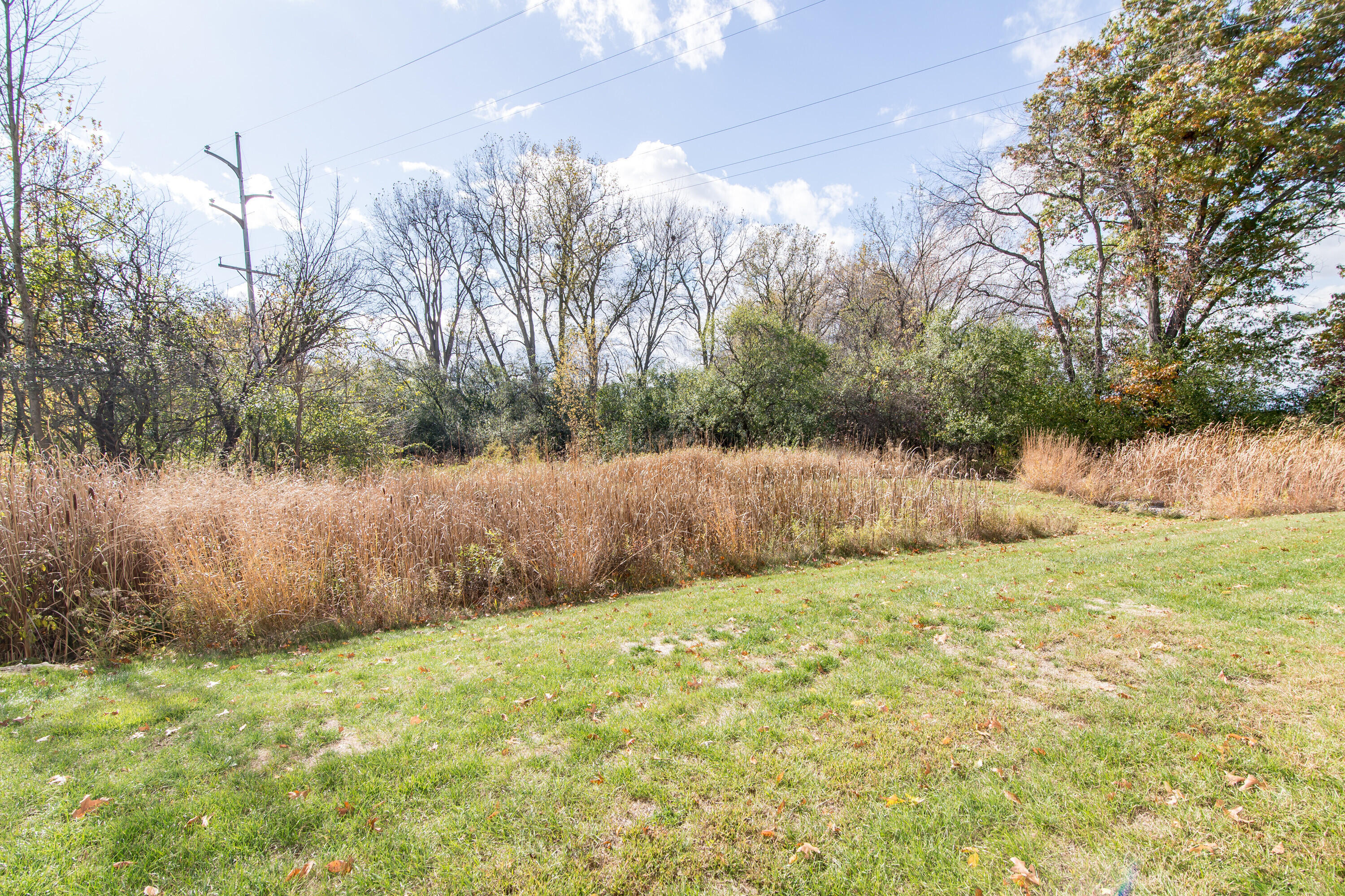 728 Cobblestone Way Chelsea, MI 48118 - Photo 35 of 37 003_13