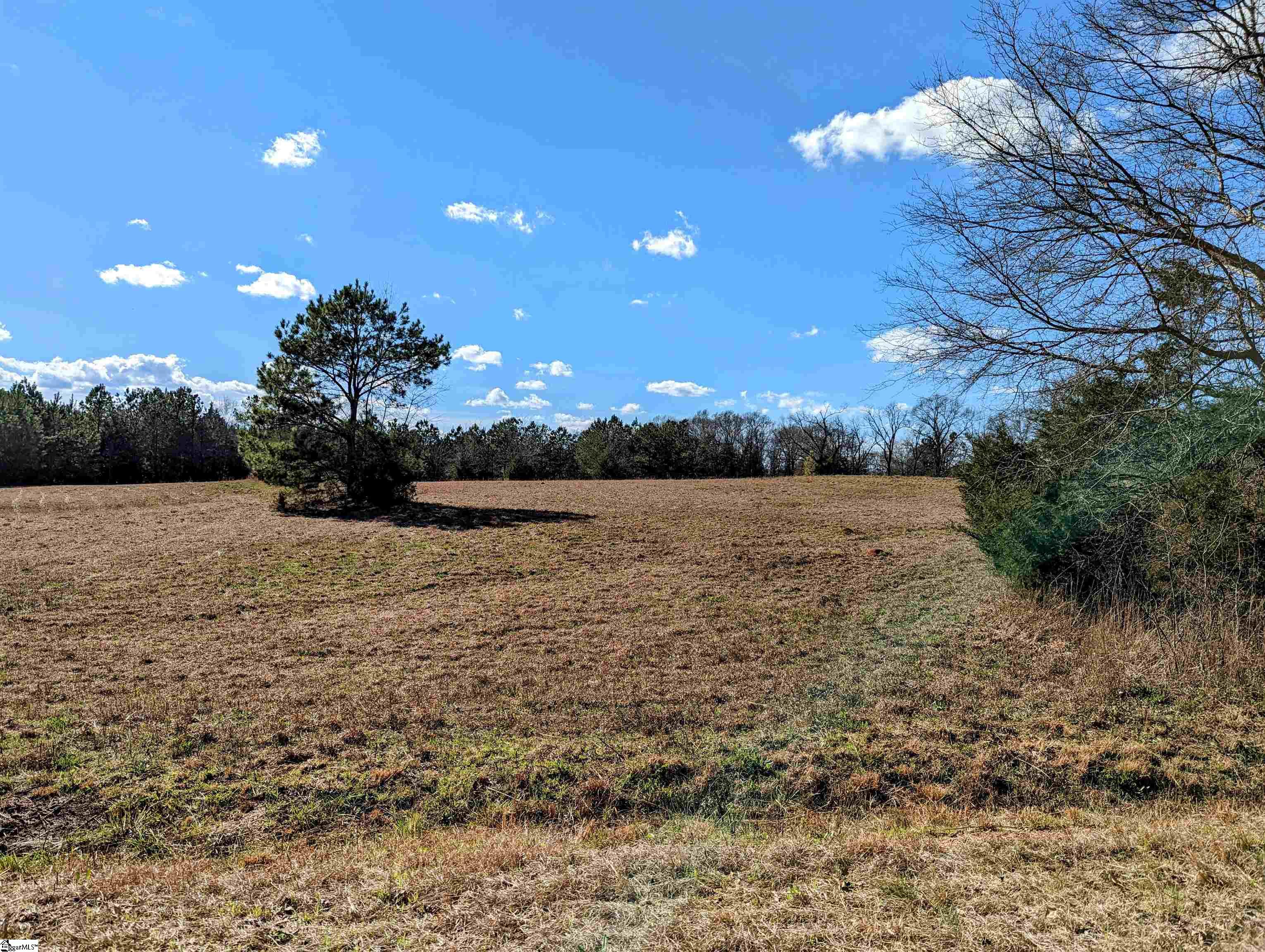 705 Eakin Road Honea Path, SC 29654 - Photo 1 of 28