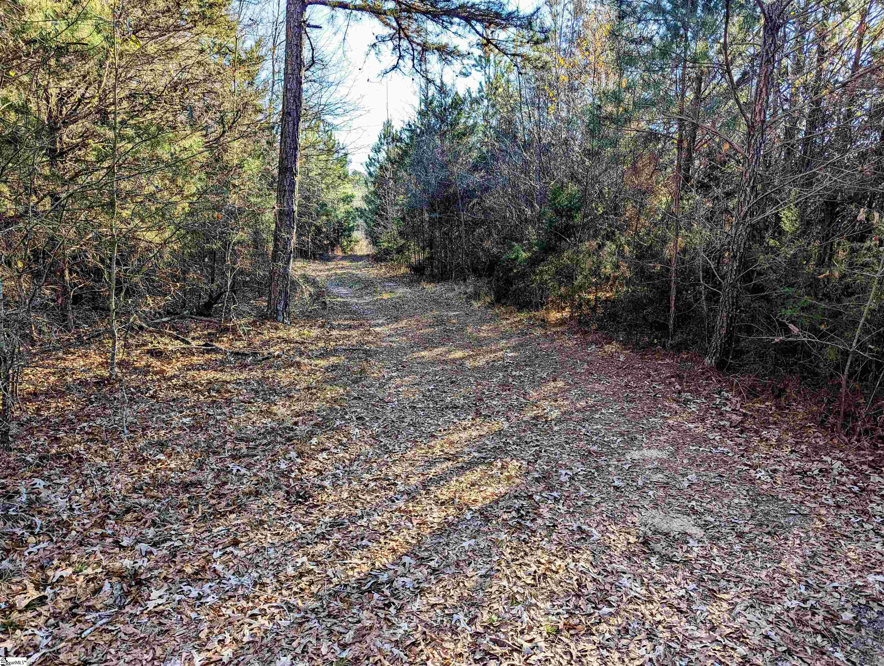 705 Eakin Road Honea Path, SC 29654 - Photo 8 of 28