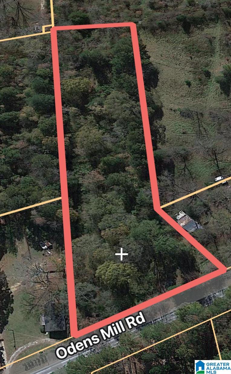 0 Odens Mill Road Sylacauga, AL 35151 - Photo 23 of 23