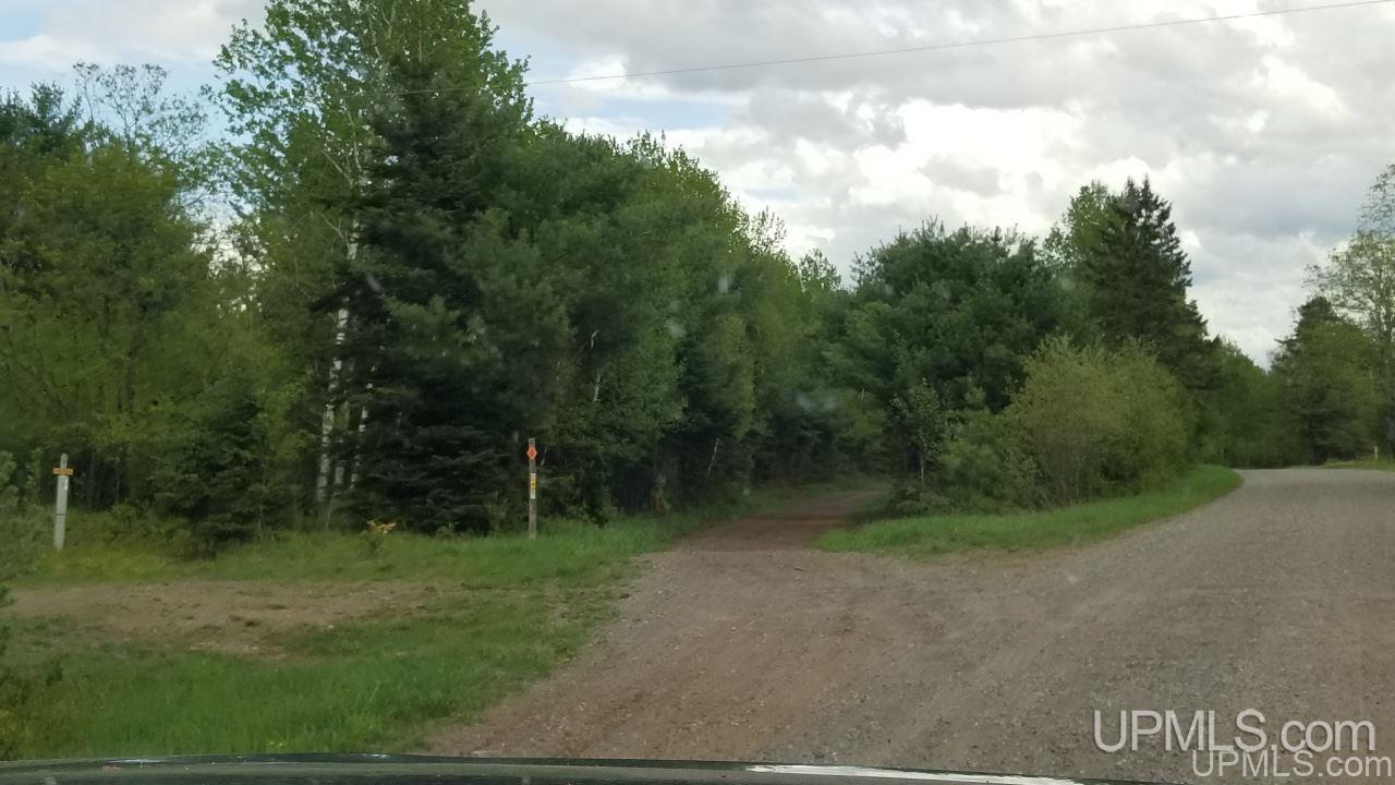 Tbd Fr 3470 Road Iron River, MI 49935 - Photo 30 of 31