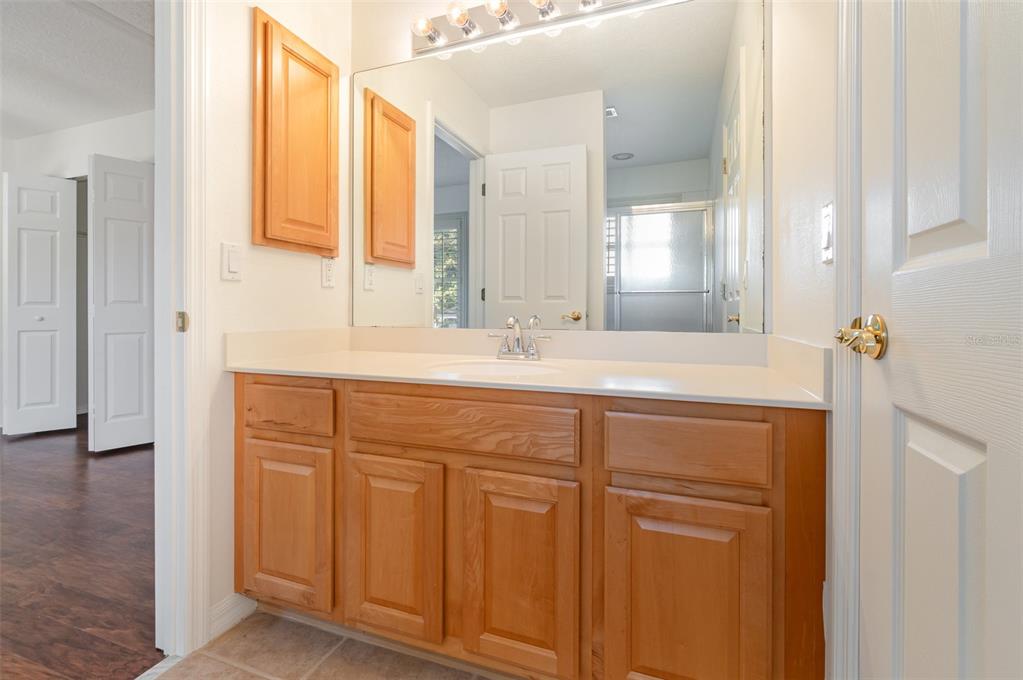 729 Strihal Loop Oakland, FL 34787 - Photo 22 of 33 a bathroom with a sink and a mirror