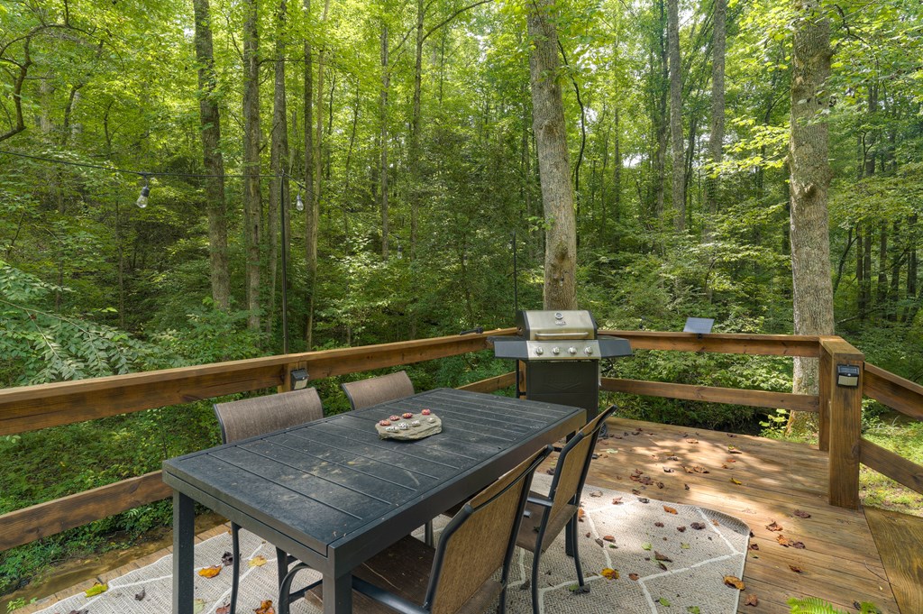 181 Falcon Circle Ellijay, GA 30540 - Photo 17 of 55