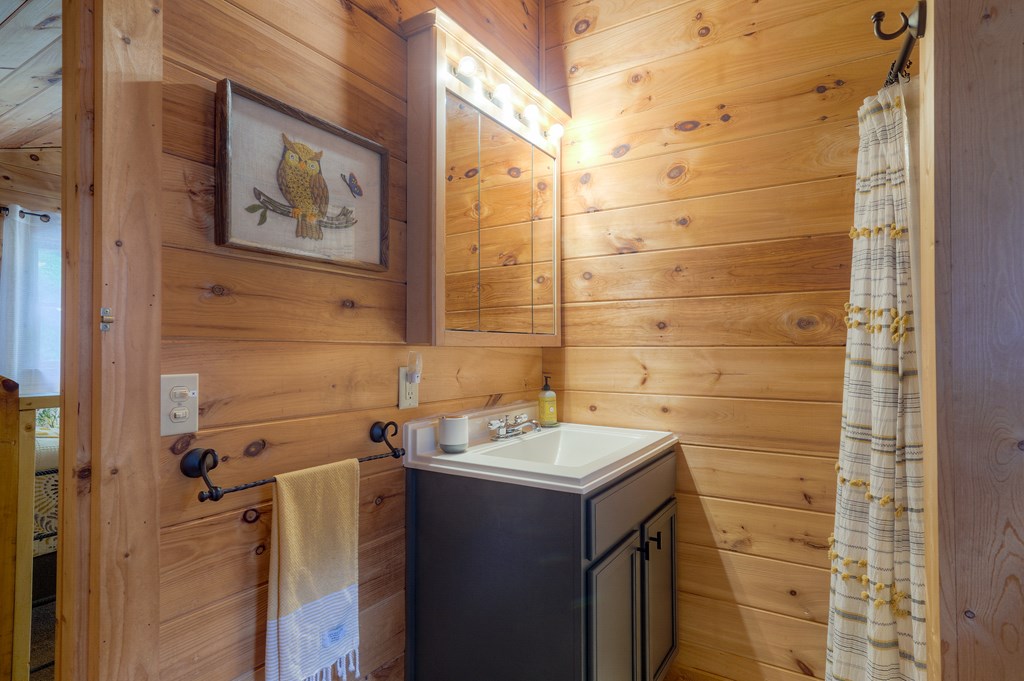 181 Falcon Circle Ellijay, GA 30540 - Photo 27 of 55