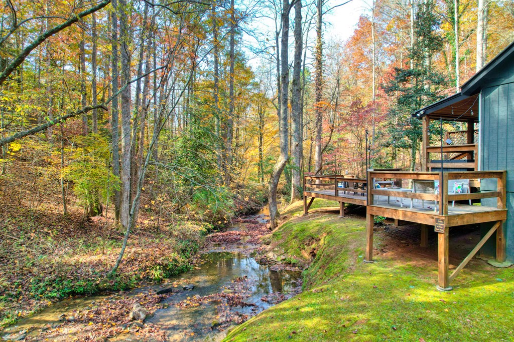 181 Falcon Circle Ellijay, GA 30540 - Photo 29 of 55