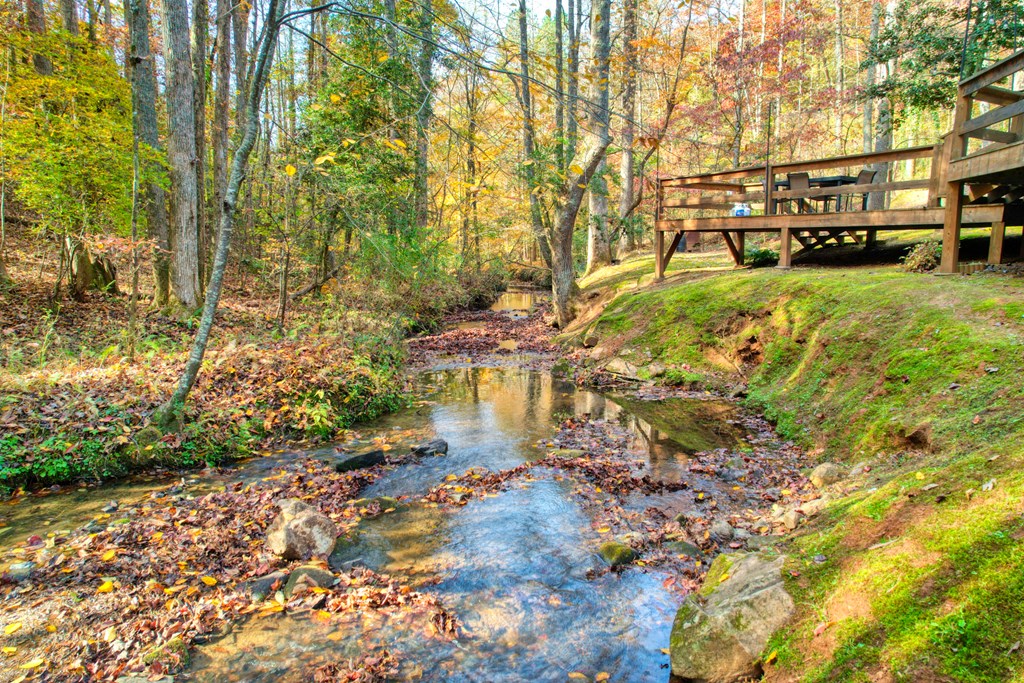 181 Falcon Circle Ellijay, GA 30540 - Photo 30 of 55