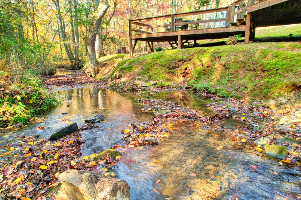 181 Falcon Circle Ellijay, GA 30540 - Photo 3 of 55