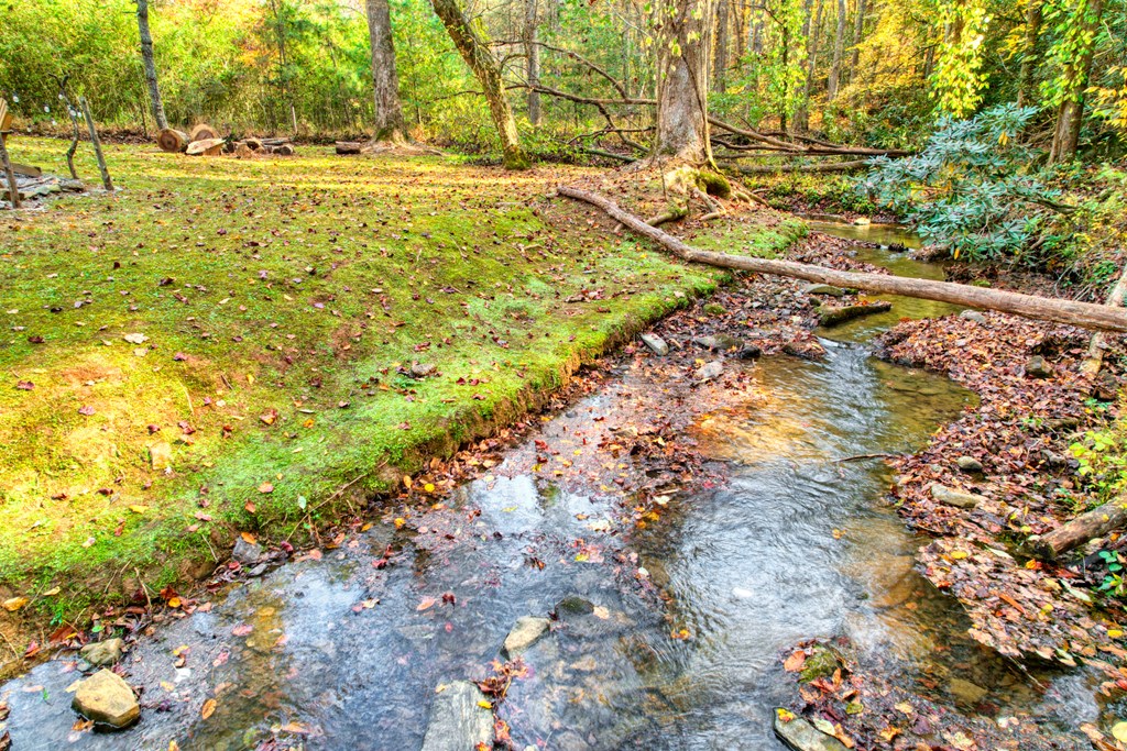 181 Falcon Circle Ellijay, GA 30540 - Photo 31 of 55