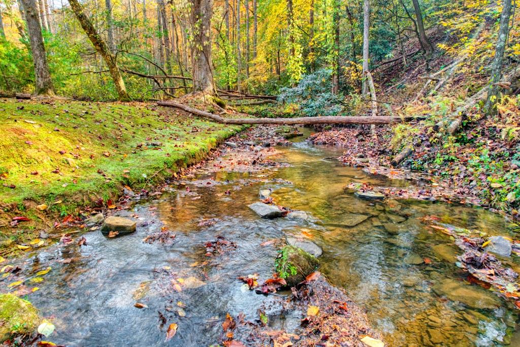 181 Falcon Circle Ellijay, GA 30540 - Photo 4 of 55