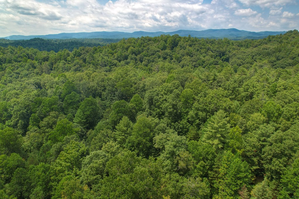 181 Falcon Circle Ellijay, GA 30540 - Photo 44 of 55