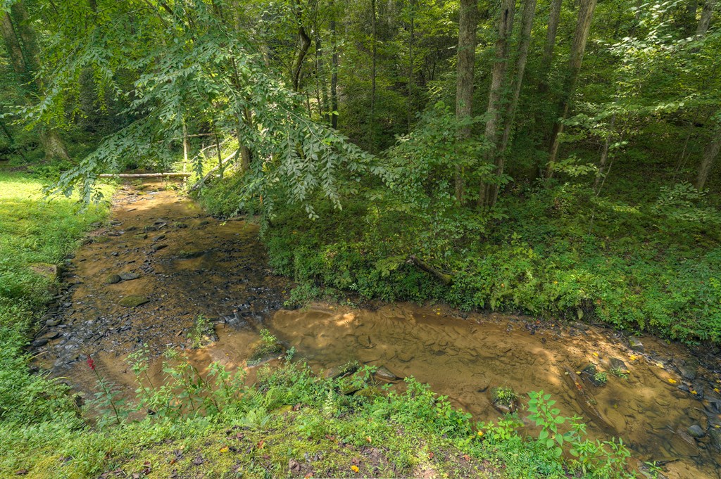 181 Falcon Circle Ellijay, GA 30540 - Photo 51 of 55