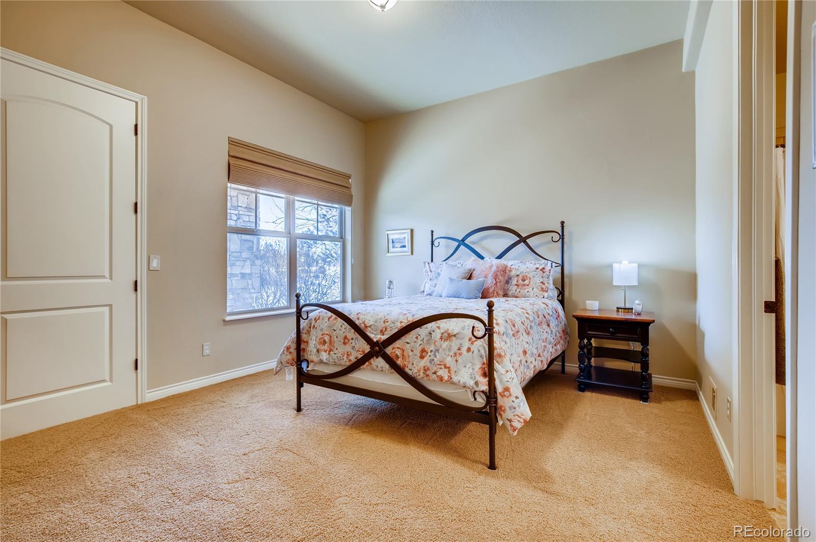 4356 Chateau Ridge Road Castle Rock, CO 80108 - Photo 18 of 27 Gallery Image 18