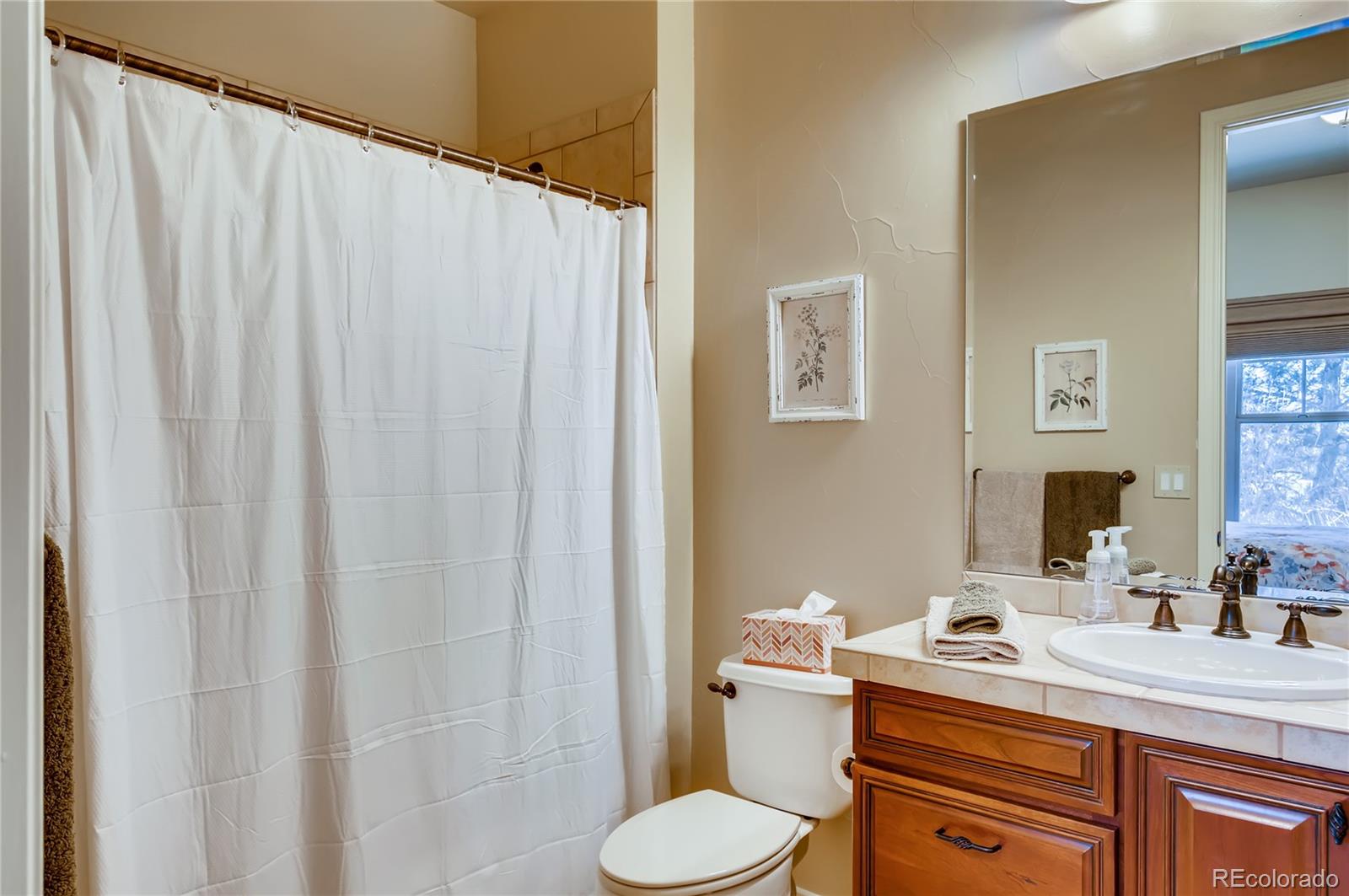 4356 Chateau Ridge Road Castle Rock, CO 80108 - Photo 19 of 27 Gallery Image 19