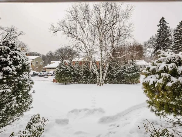 a view of a covered with snow in the background