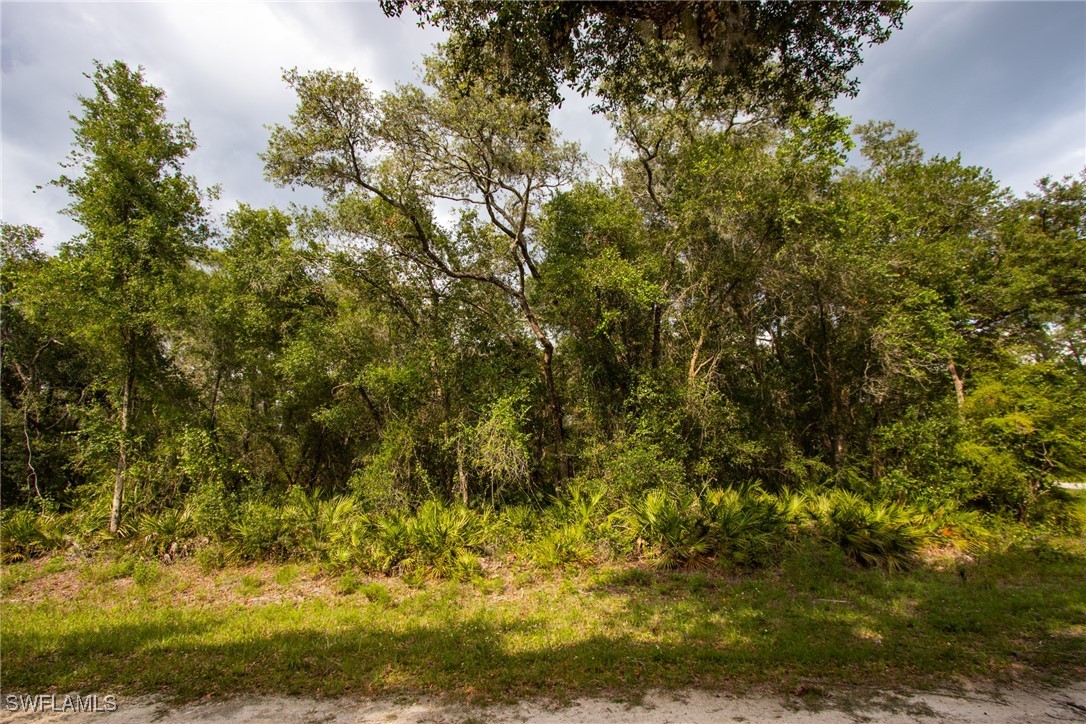 7478 North Canal Street Webster, FL 33597 - Photo 4 of 7 a view of a yard