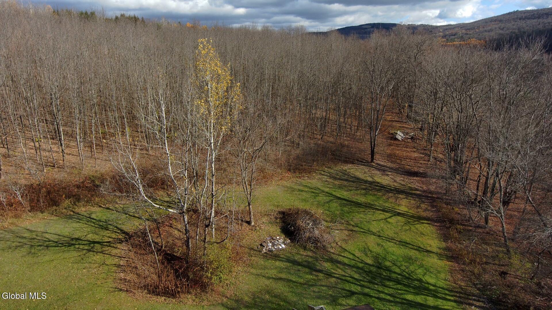 1099 West Hill Road Worcester, NY 12197 - Photo 26 of 29 backyard