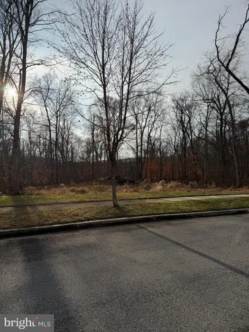 a view of swimming pool with large trees