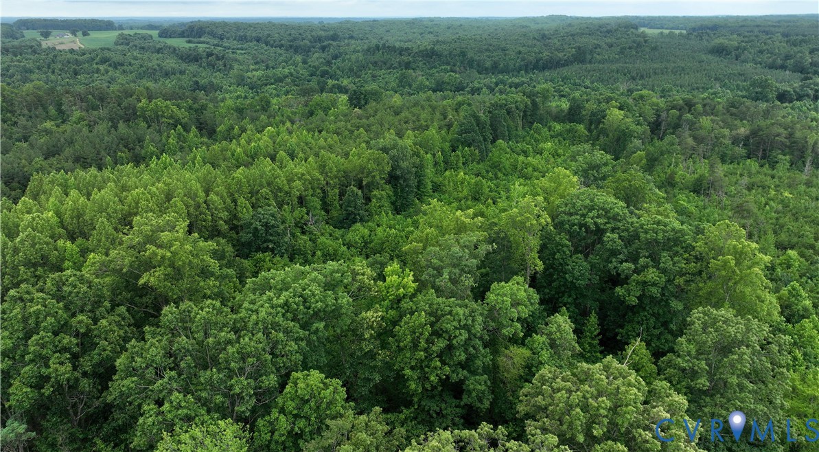 0 Horsepen Road Farmville, VA 23901 - Photo 5 of 15 Extensive wooded acreage featuring mature deciduou