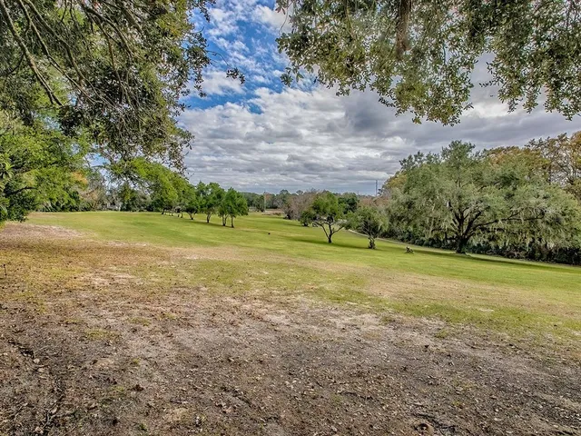 a view of a field with trees