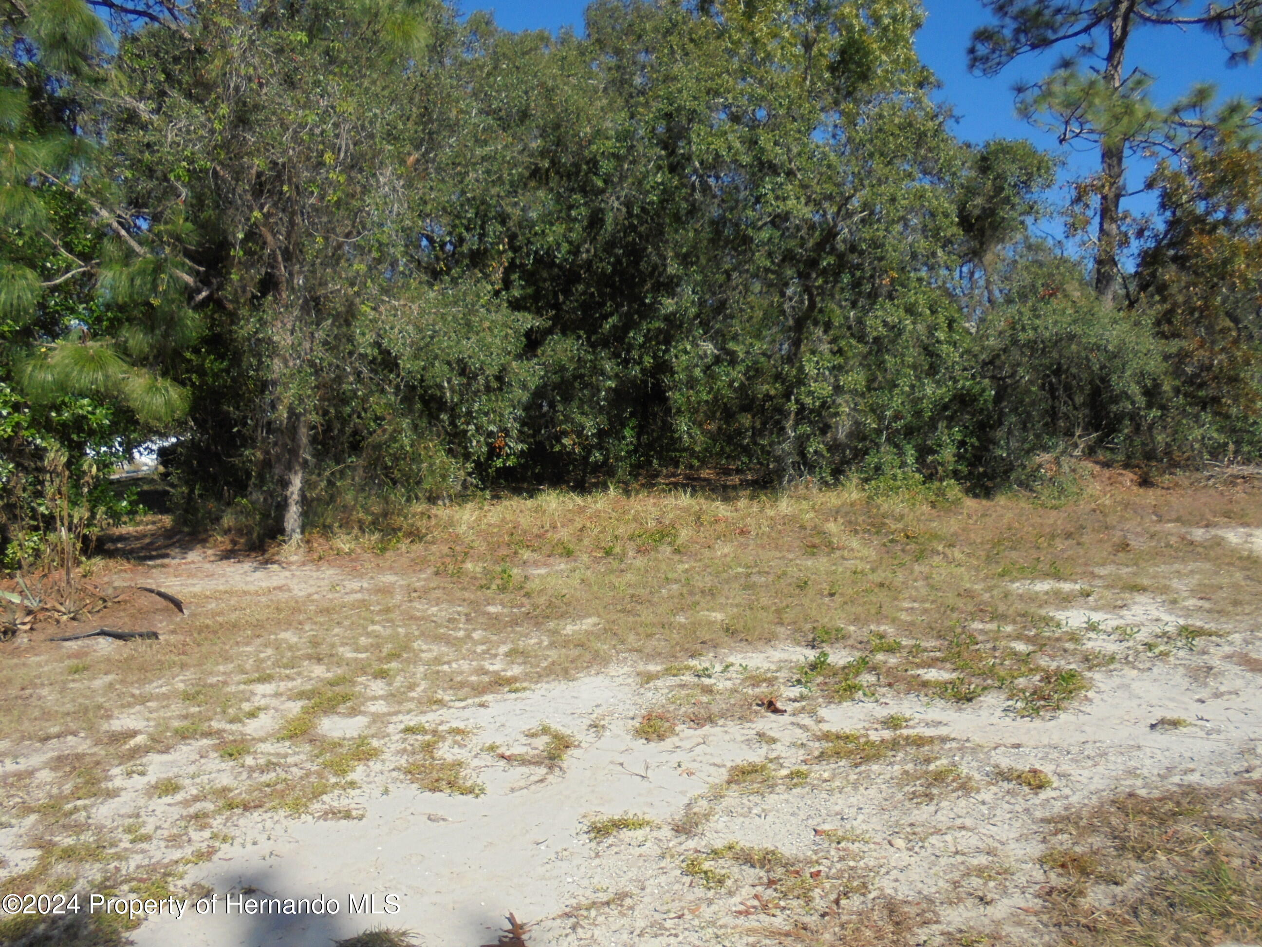 0 Deep Creek Drive Spring Hill, FL 34609 - Photo 1 of 5