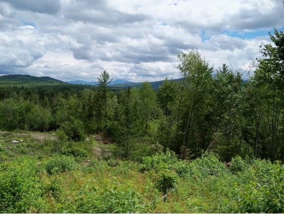 123 River Road Lunenburg, VT 05906 - Photo 1 of 1