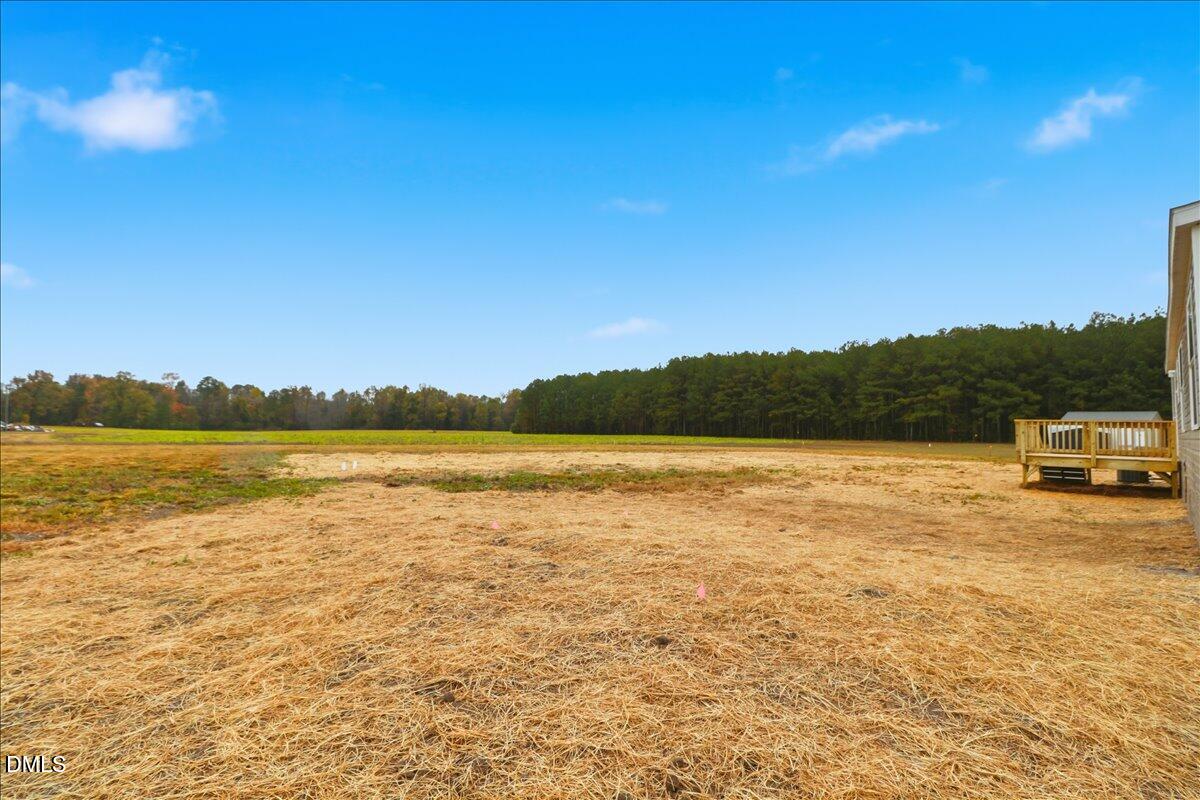79 Old Daughtry Road Smithfield, NC 27577 - Photo 32 of 35 04-79 Old Daughtry Rd-4