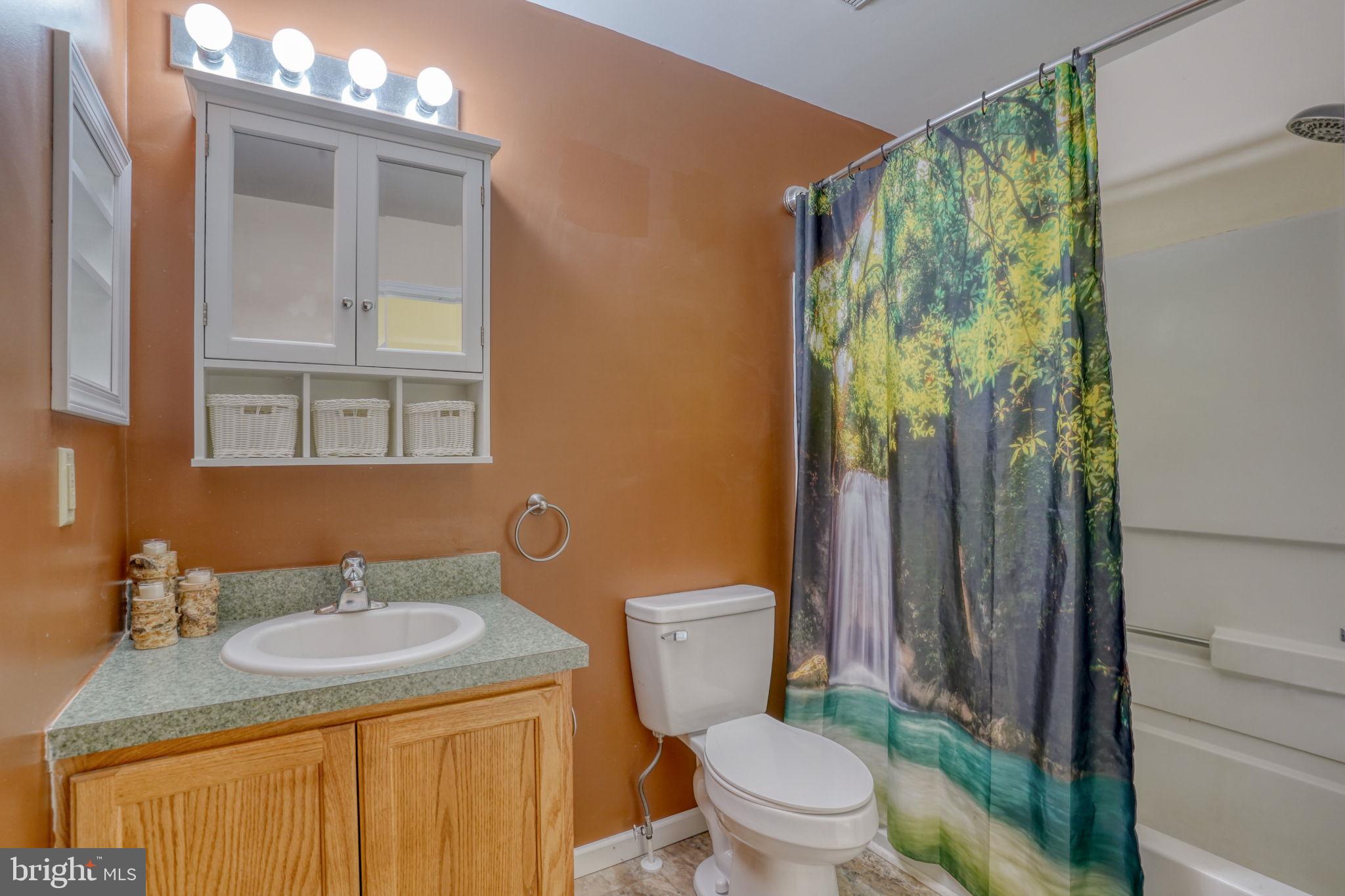 197 Bonnybrook Road Middletown, DE 19709 - Photo 22 of 32 a bathroom with a granite countertop sink toilet and shower