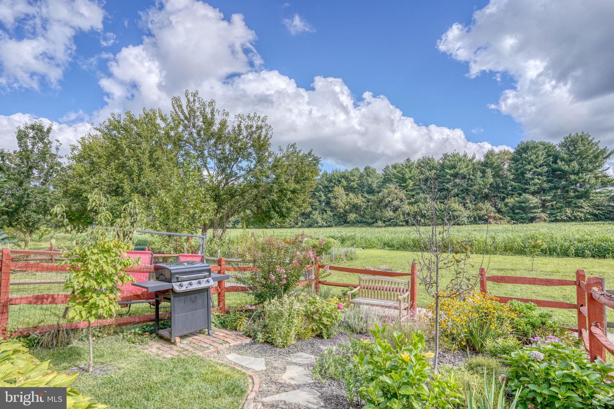 197 Bonnybrook Road Middletown, DE 19709 - Photo 29 of 32 a backyard of a house with table and chairs plants and large trees