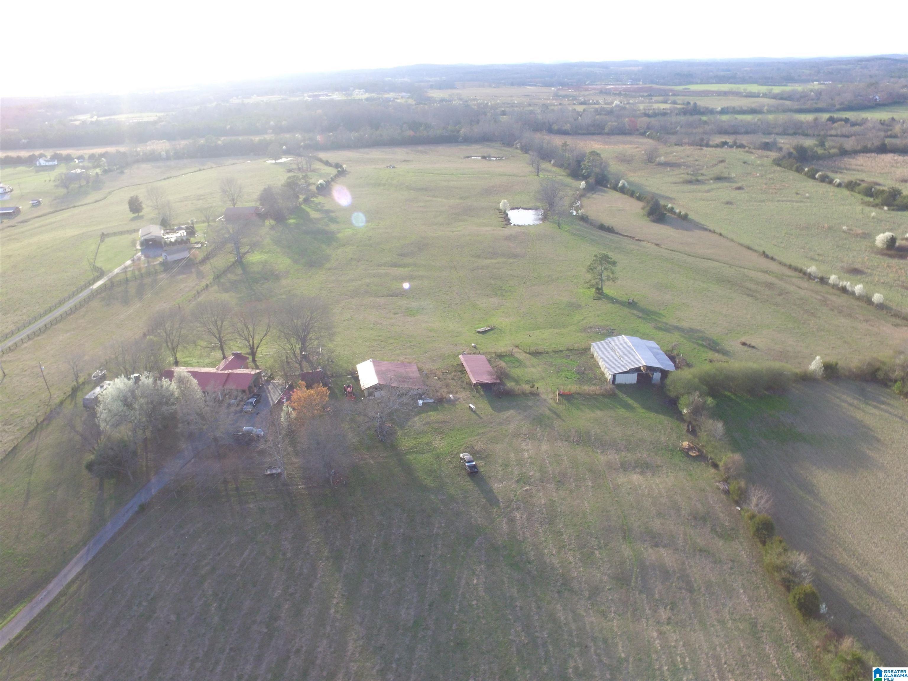 1432 Peaceful Valley Road Eastaboga, AL 36260 - Photo 89 of 91