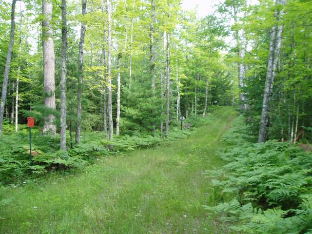 35-acres West Carpenter Lake Road Eagle River, WI 54521 - Photo 1 of 1 Gallery Image 1