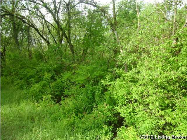 2 Wolf-Pen Road Pendleton, KY 40055 - Photo 6 of 7 Additional Photo