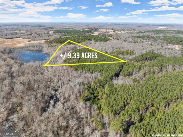 a view of a field with an ocean view