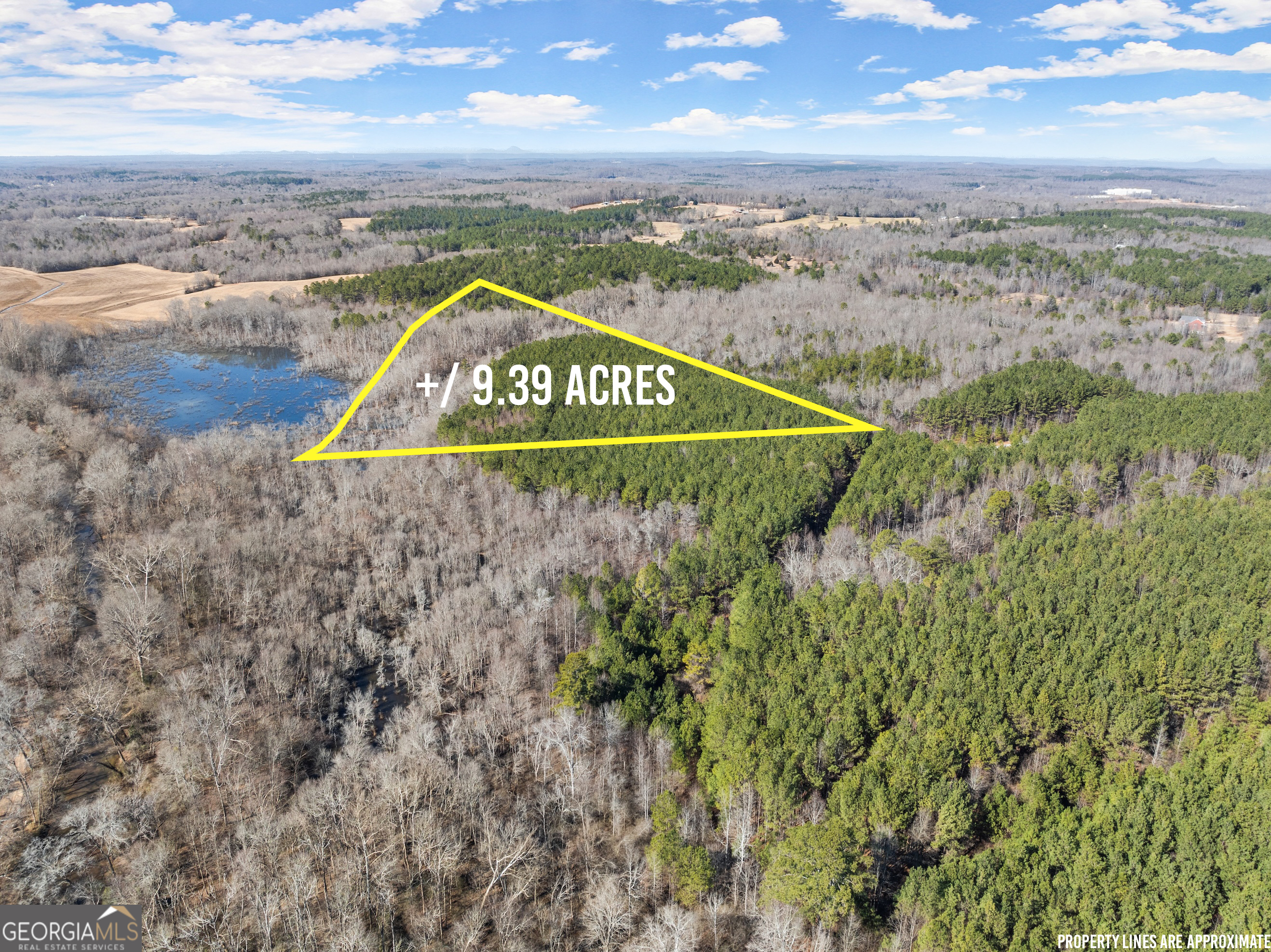 a view of a field with an ocean view